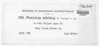 Puccinia sibirica image